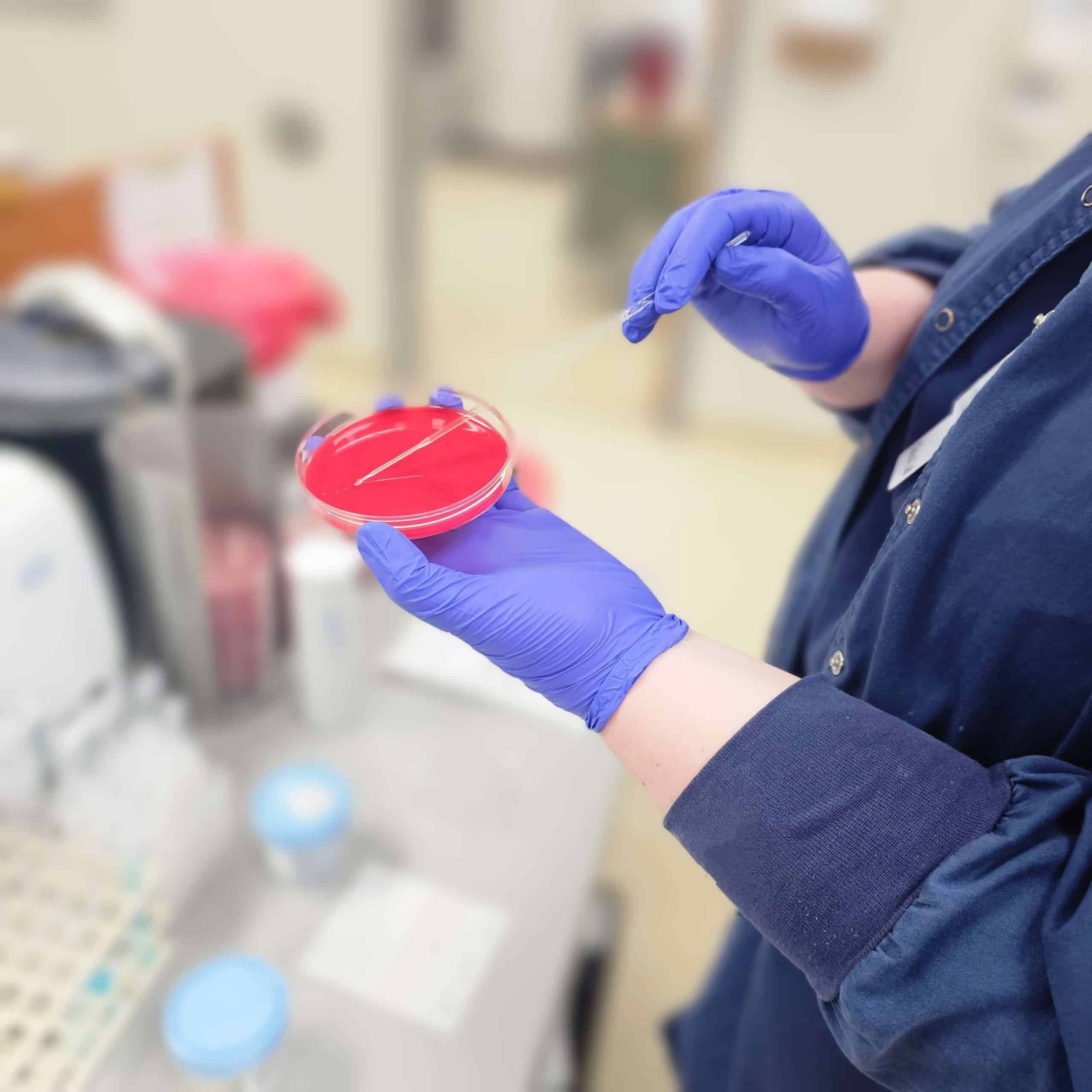 a hand holding a toy